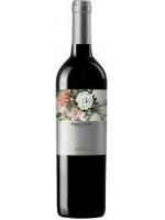 Coca i Fitó Negre 2013