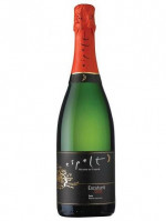 Escuturit Brut