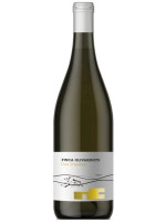 Vinyes d´Olivardots Groc d´Àmfora 2025