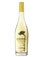 Jané Ventura Flor Sempreviva 2024