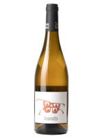 Joan Rubió Joanots 2022