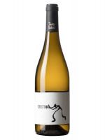 Joan Rubió Obstinat 2019