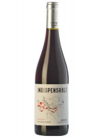 Oliver Conti Indispensable Negre 2023