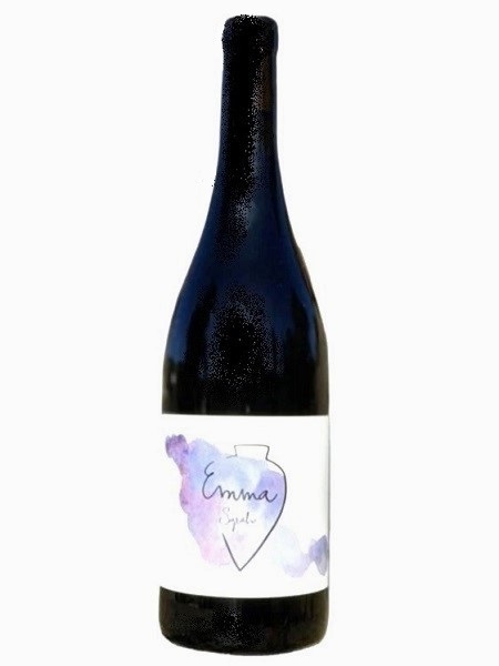Vega Aixalà Emma Syrah 2023